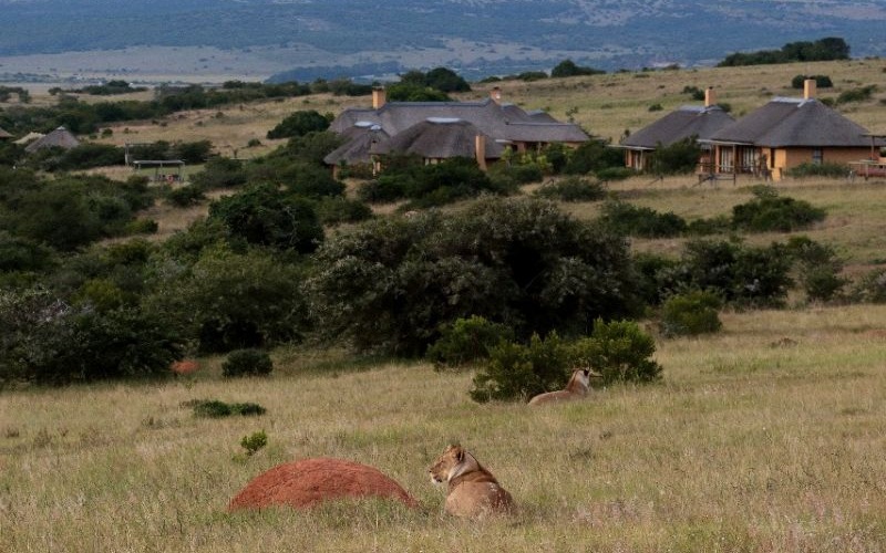 Hlosi  Lodge 9